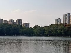-白塘生态植物园