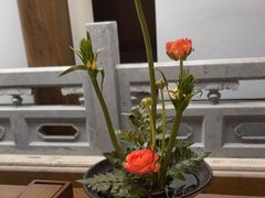 -鲤院·新中式美学·庭院餐厅(夫子庙店)