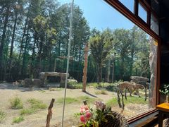 -上海野生动物园老虎餐厅