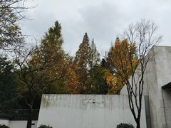 -秋霞圃
