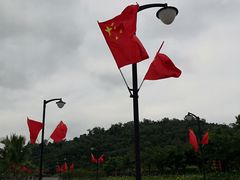 -野狸岛