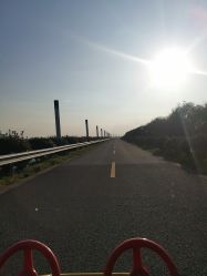 -水八仙生态园