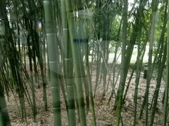 -上海中医药大学附属曙光医院(东部)