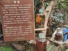 -呀路古热带植物园