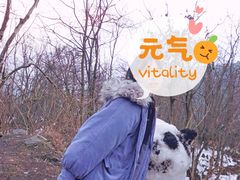 -九峰山
