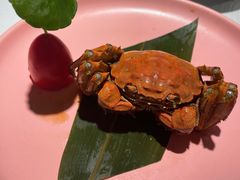 -吴家·淮扬小馆(世纪金源店)