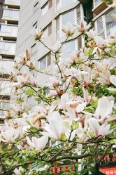 -赢韵美甲美睫瑞士净斑中心