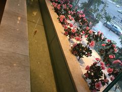 -阿斯牛牛·凉山菜(新会展店)