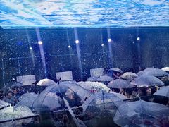 -M-MIX电音烤吧