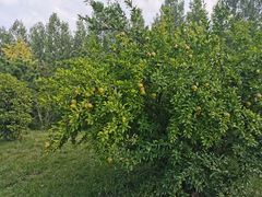 -终南山南五台景区