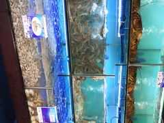 -南海渔家•海鲜•正宗海南菜(海棠湾店)
