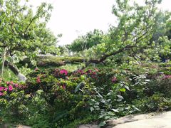 -三圣花乡旅游区