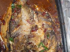 -古彭7只羊·招牌白串·碳锅羊肉旗舰店