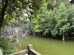 -广州市帽峰山景区