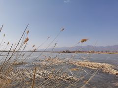 -野鸭湖国家湿地公园