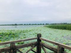 -野鸭湖国家湿地公园