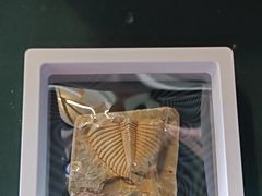 -房山世界地质公园博物馆