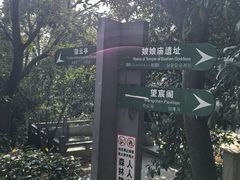 -杭州半山国家森林公园
