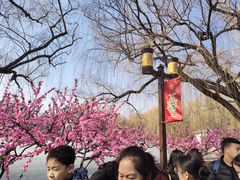 -圆明园(地铁站)