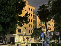 -东莞宠友24H宠物中心医院·转诊夜诊·异宠(新河北路院)