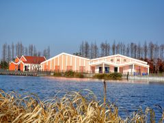 -上海长兴岛郊野公园