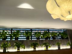 -涌上外婆桥(岱山日达店)