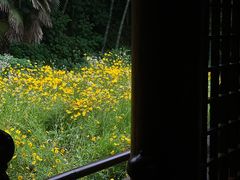 -兰亭风景区