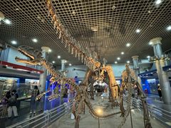 -国家自然博物馆