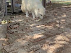 -武汉紫薇都市田园