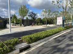 -南汇新场正宗水蜜桃采摘