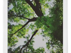 门面-大槐树烤肉馆