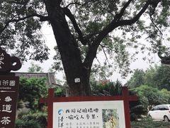 -青羊宫