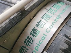 -北京植物园-展览温室