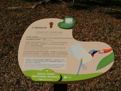-福田红树林生态公园