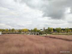 -嘉北郊野公园