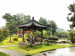 -广州神农草堂中医药博物馆