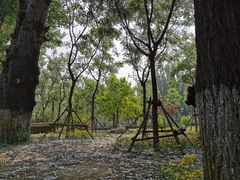 -东郊湿地公园