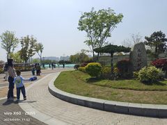 -九龙湖公园