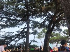 -老虎石海上公园