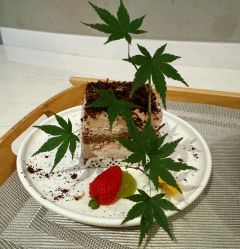 -妈咪呗呗月子中心(湘湖店)