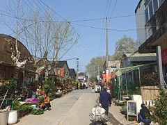 -金陵花卉交易市场