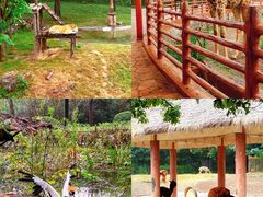 -济南野生动物世界