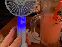 -大阪烧肉BAKA一代(十亩地店)