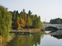 -尚贤河湿地