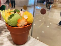 -哈根达斯(城西银泰店)