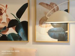 -橘米月子中心(青羊市妇幼店)