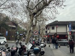 -孙奶奶葱包桧