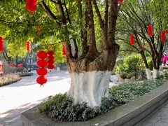 -忠山公园