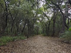 -北陵公园