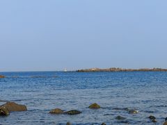 -小麦岛公园